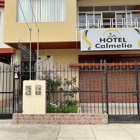 Hotel Calmelia 皮乌拉 外观 照片