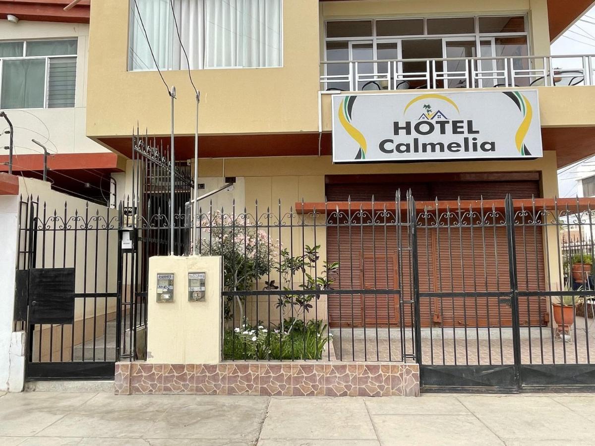 Hotel Calmelia 皮乌拉 外观 照片